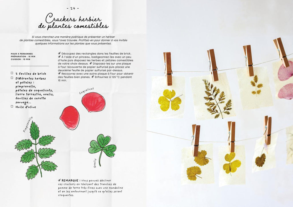 Le carnet de recettes d'une cueilleuse