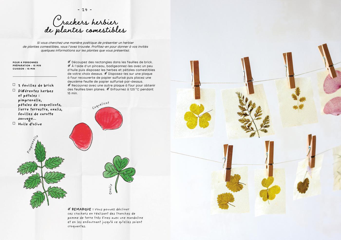 Le carnet de recettes d'une cueilleuse