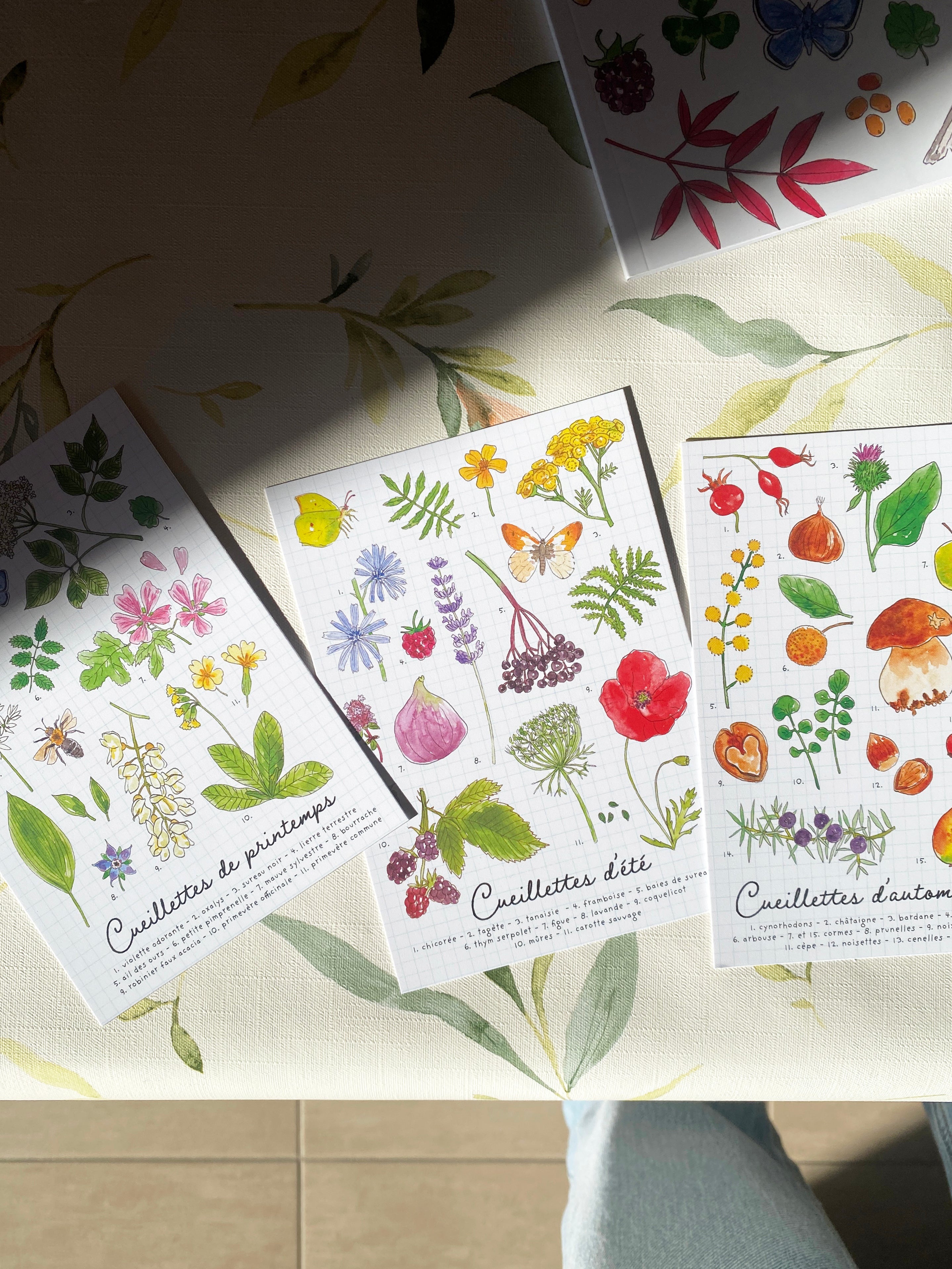 Trio de cartes "cueillettes"