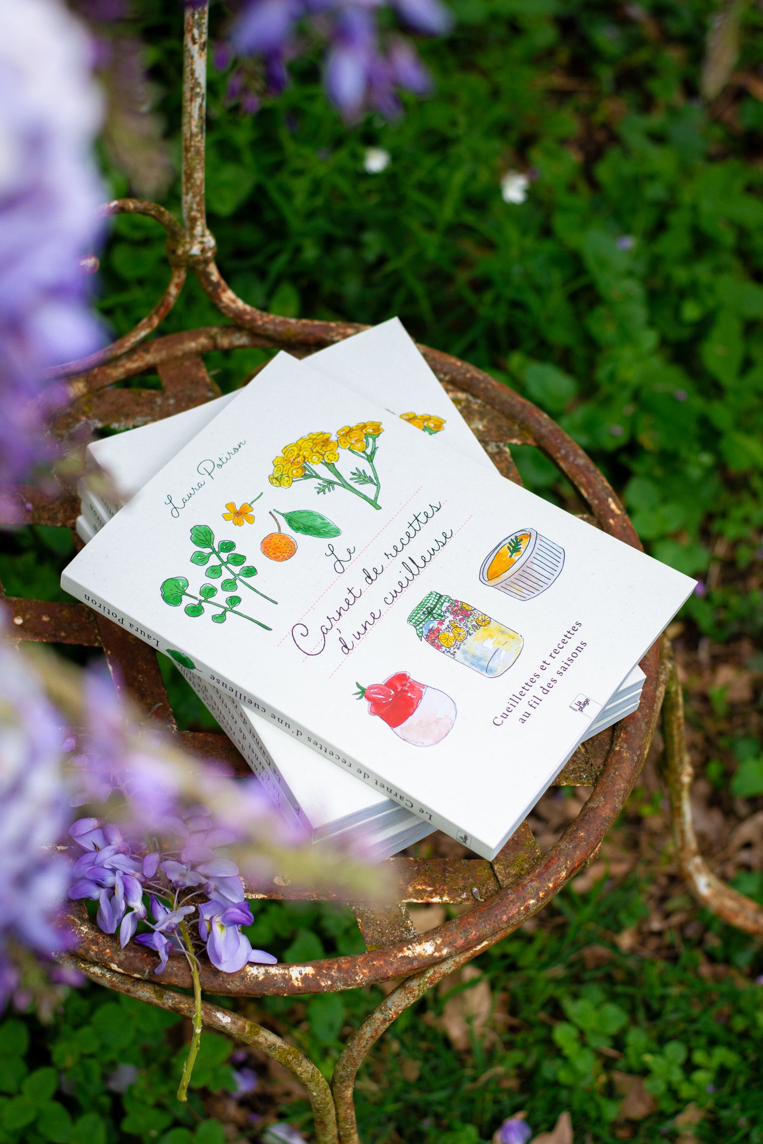 Le carnet de recettes d'une cueilleuse