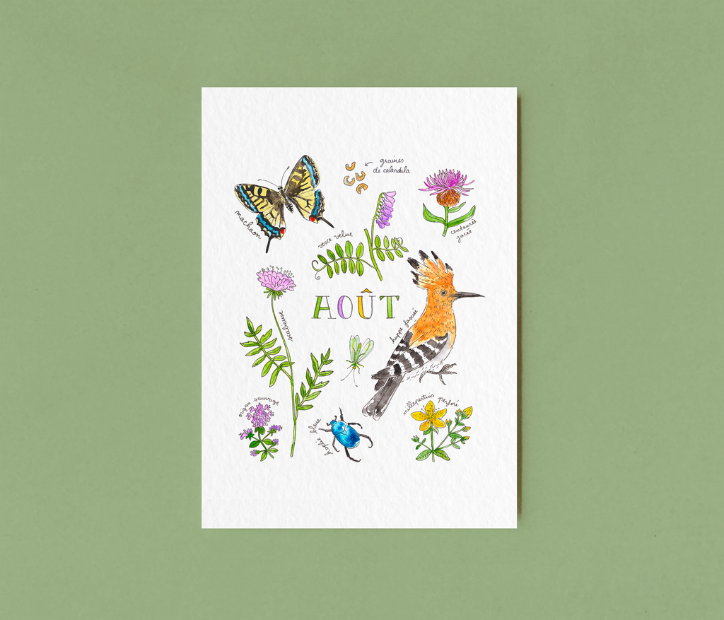 Août dans la nature - carte A6