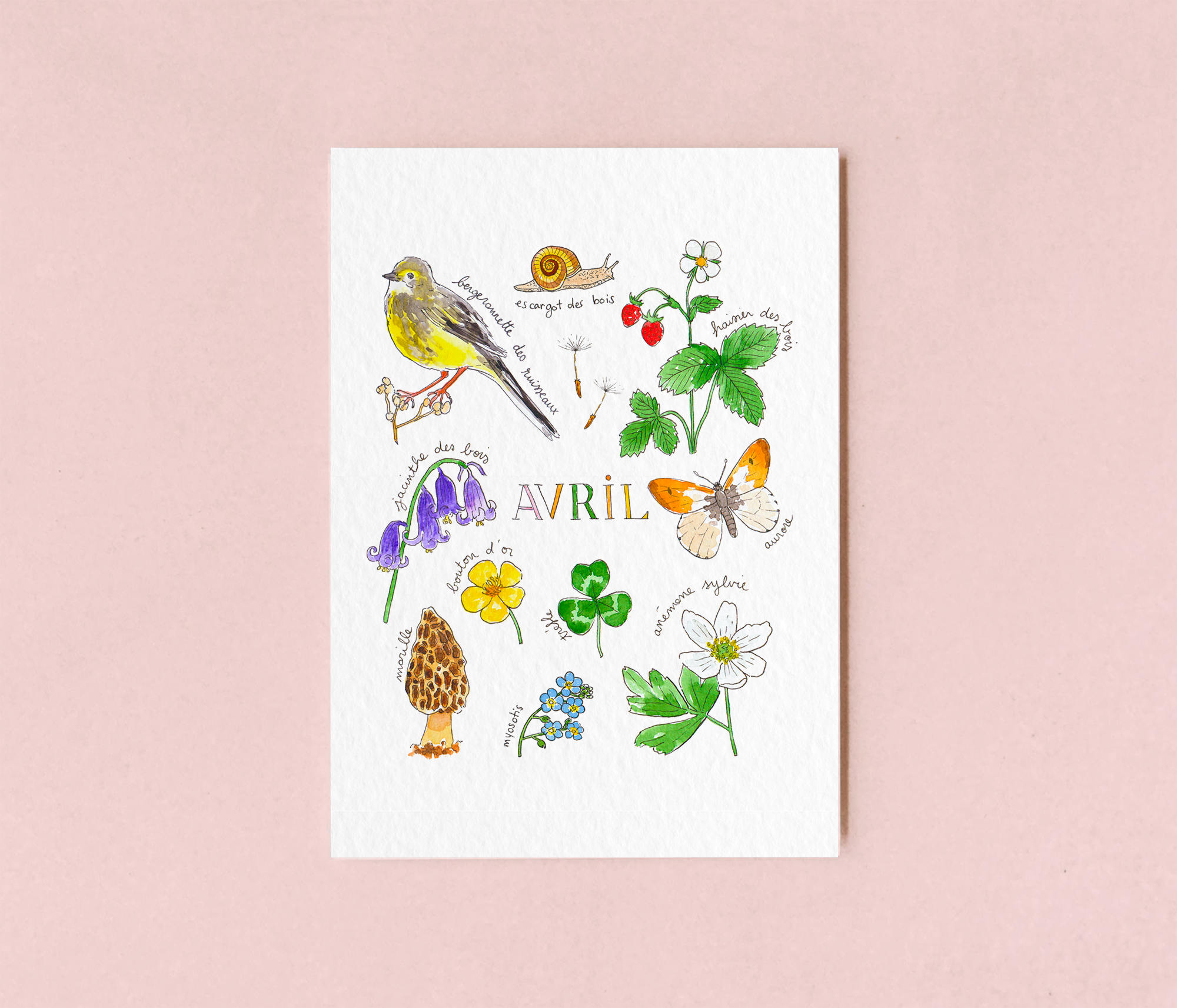 Avril dans la nature - carte A6