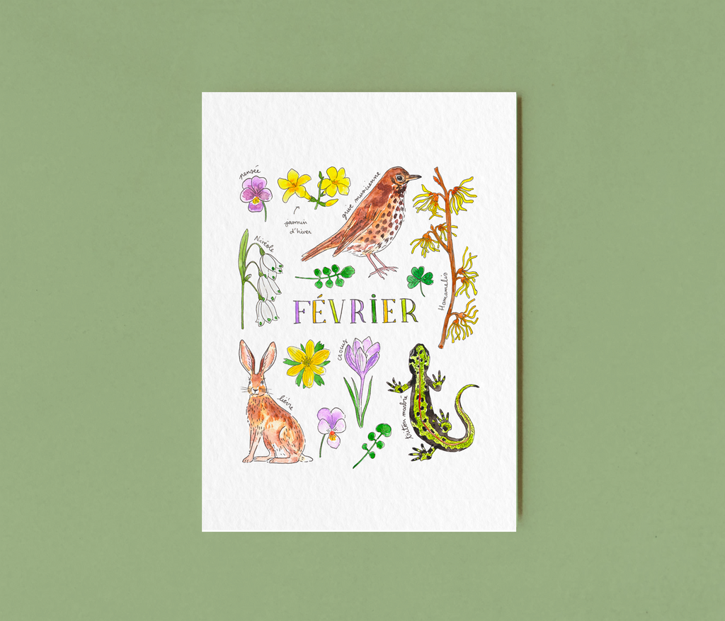 Février dans la nature - carte A6