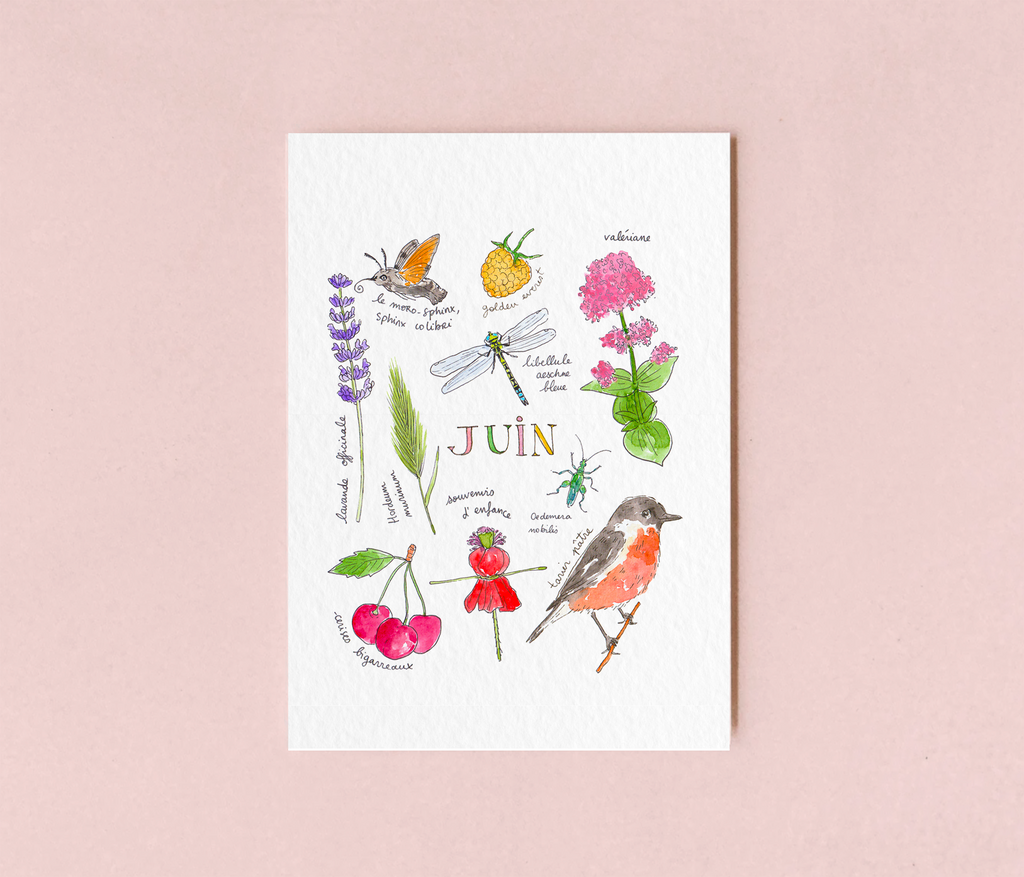 Juin dans la nature - carte A6