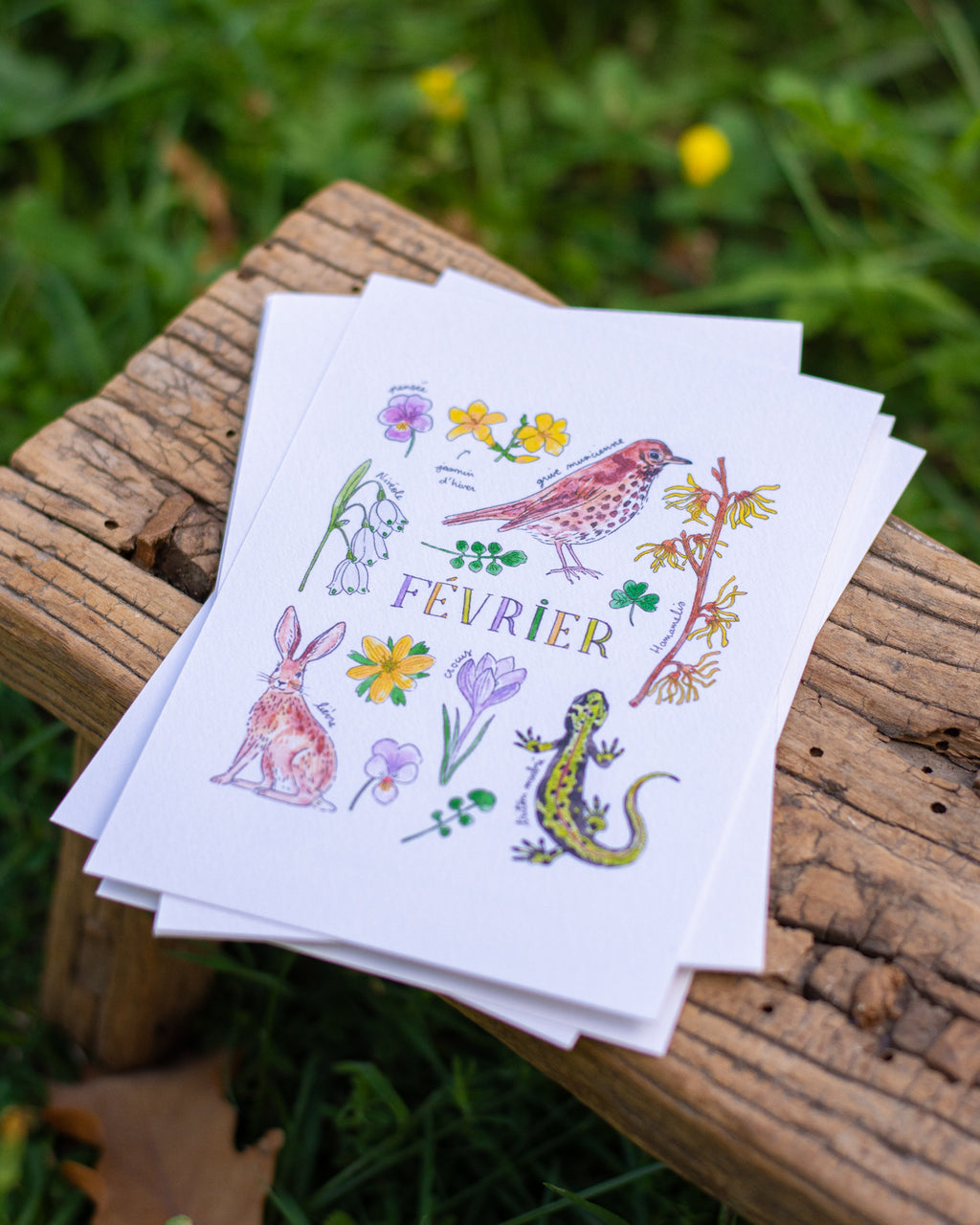 Février dans la nature - carte A6