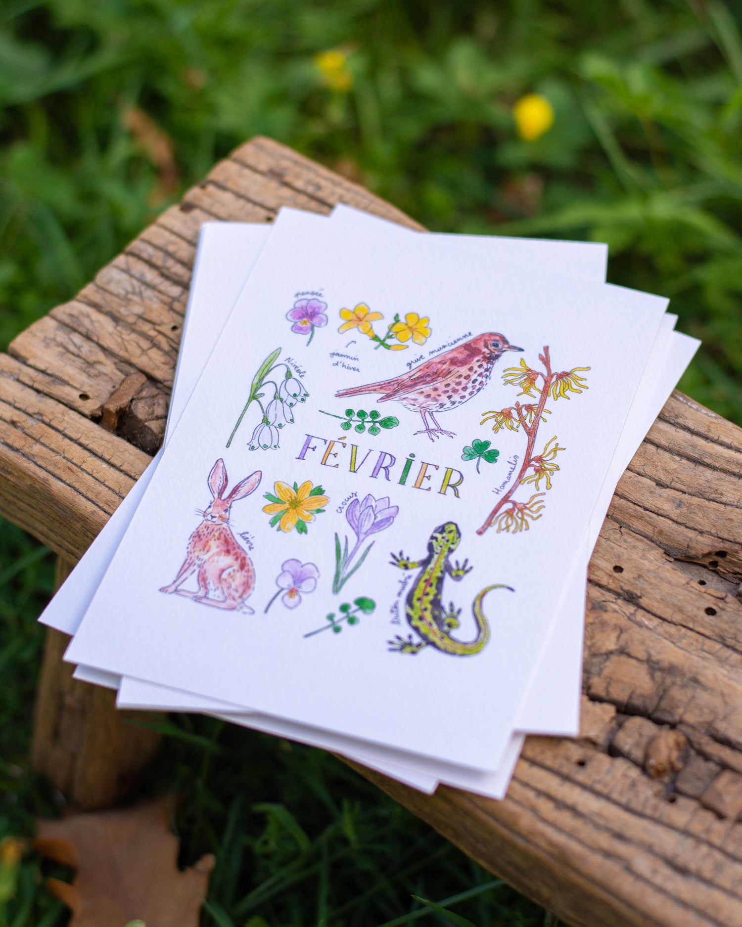 Février dans la nature - carte A6