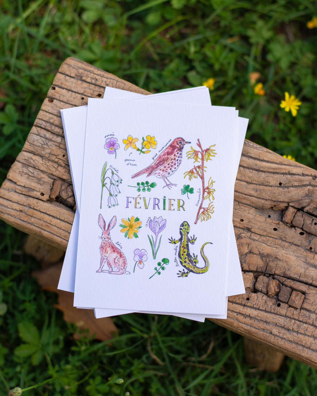 Février dans la nature - carte A6
