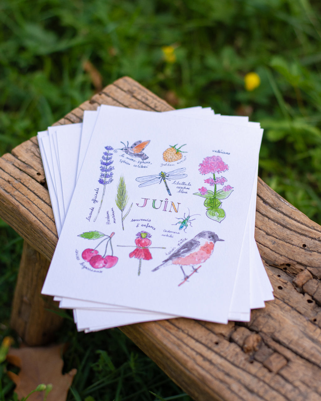 Juin dans la nature - carte A6