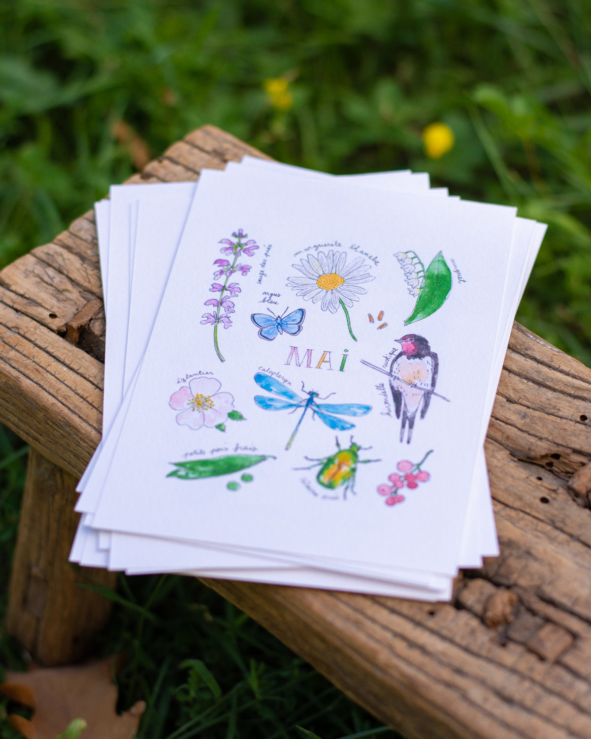 Mai dans la nature - carte A6