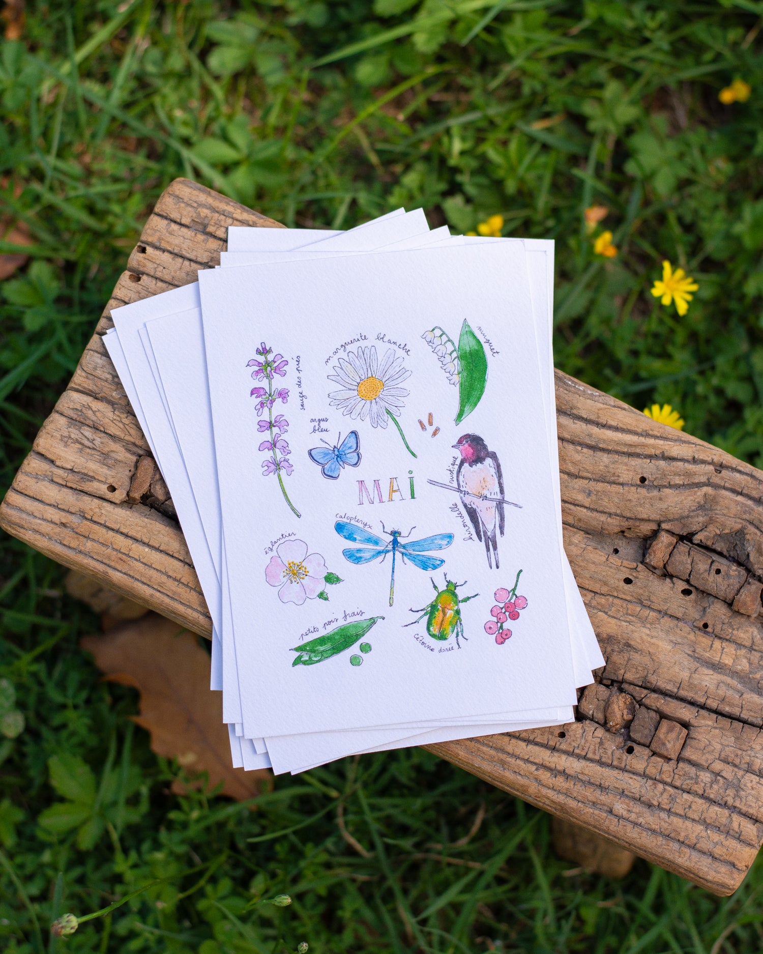 Mai dans la nature - carte A6