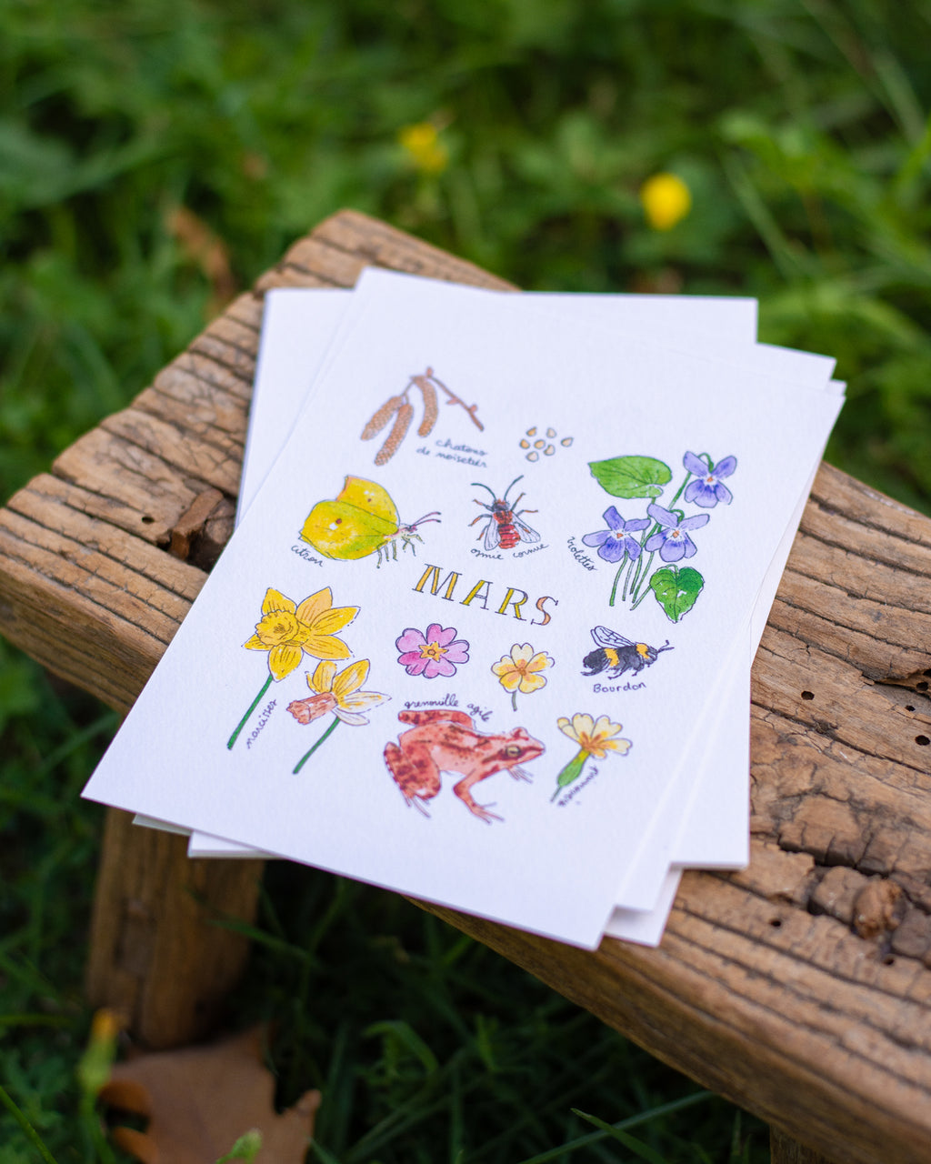 Mars dans la nature - carte A6