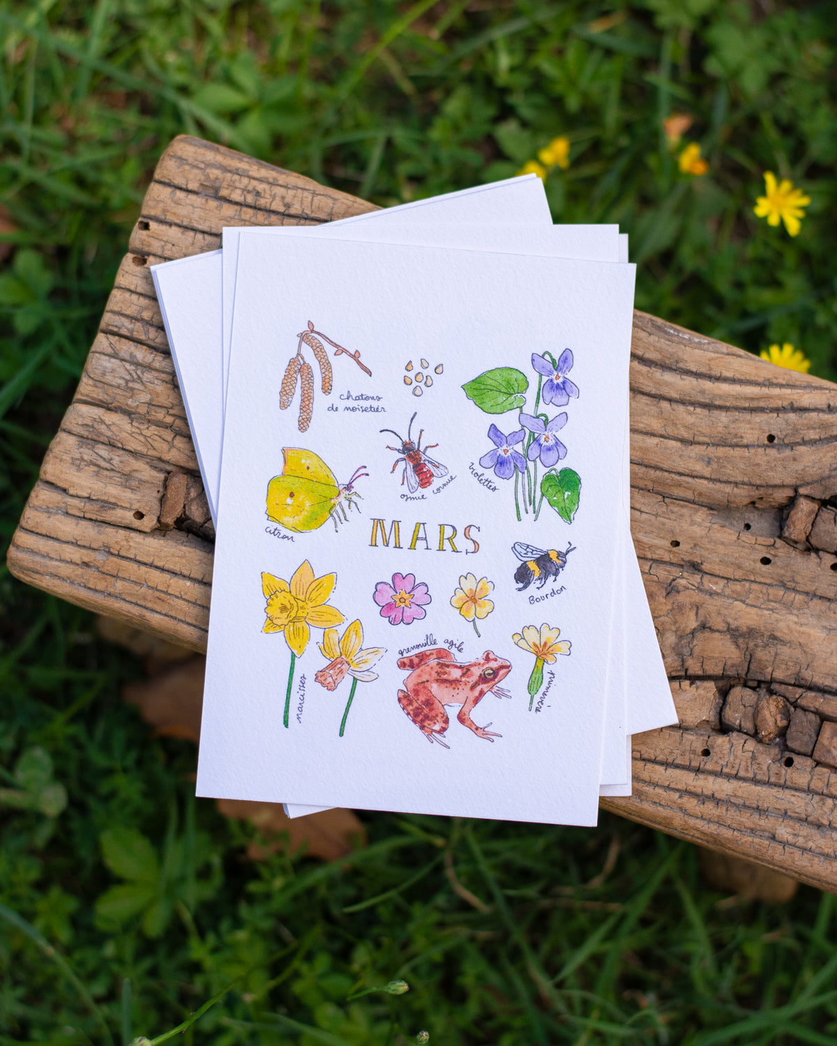 Mars dans la nature - carte A6