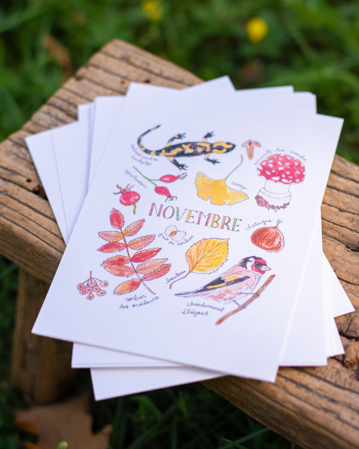Novembre dans la nature - carte A6