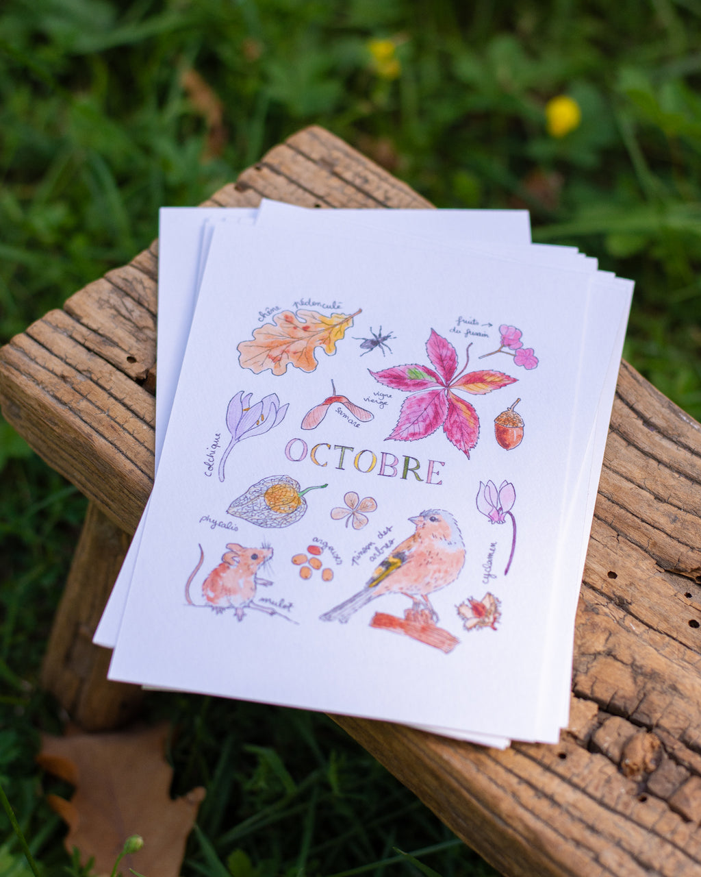 Octobre dans la nature - carte A6