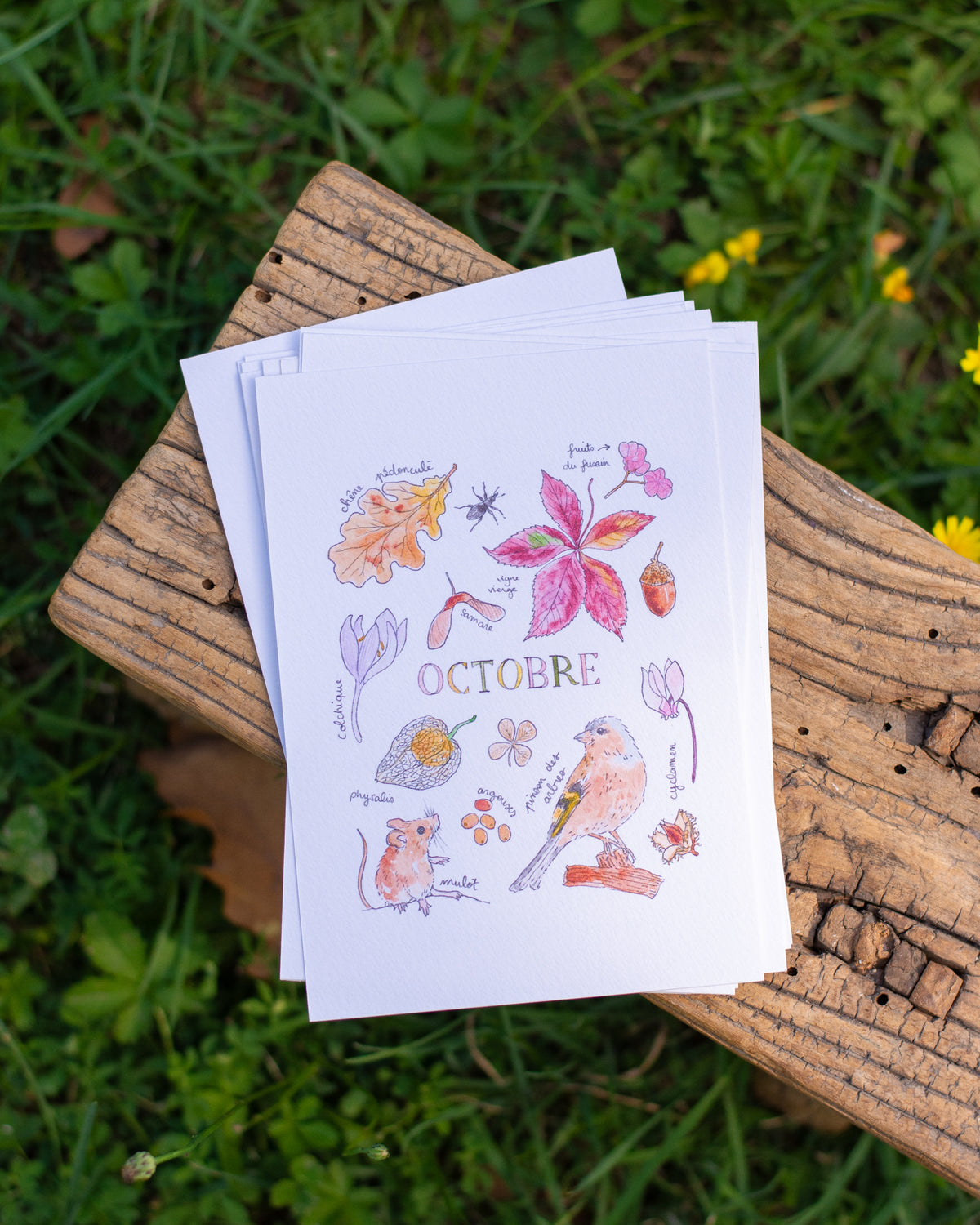 Octobre dans la nature - carte A6