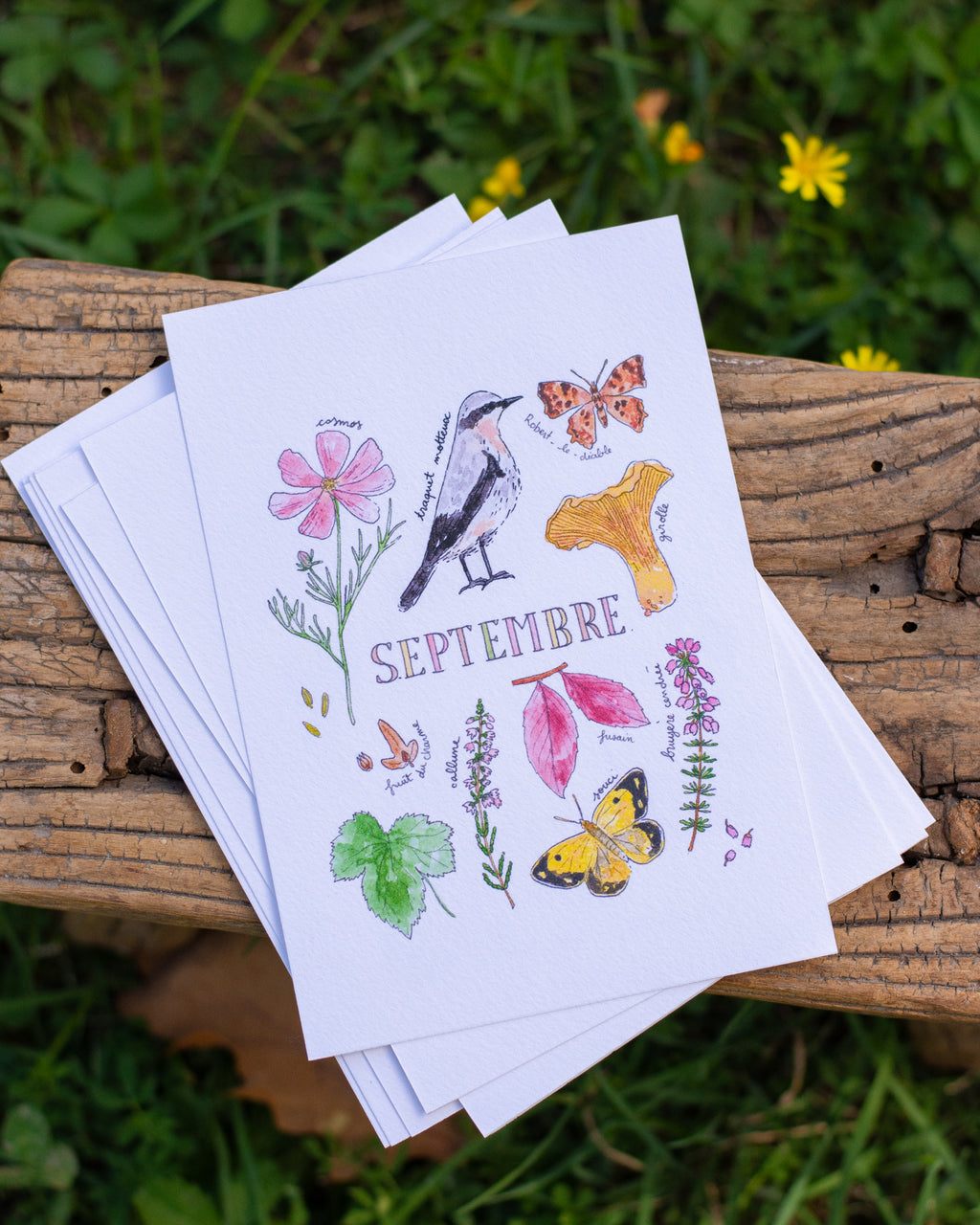 Septembre dans la nature - carte A6