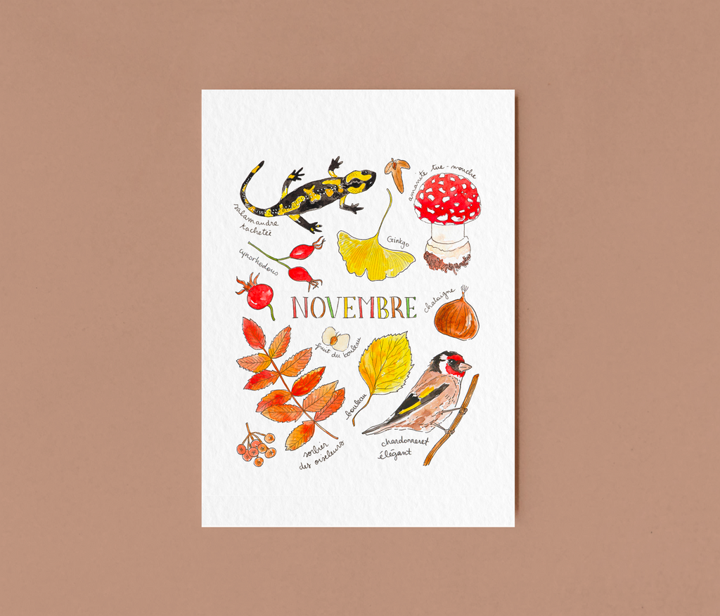 Novembre dans la nature - carte A6