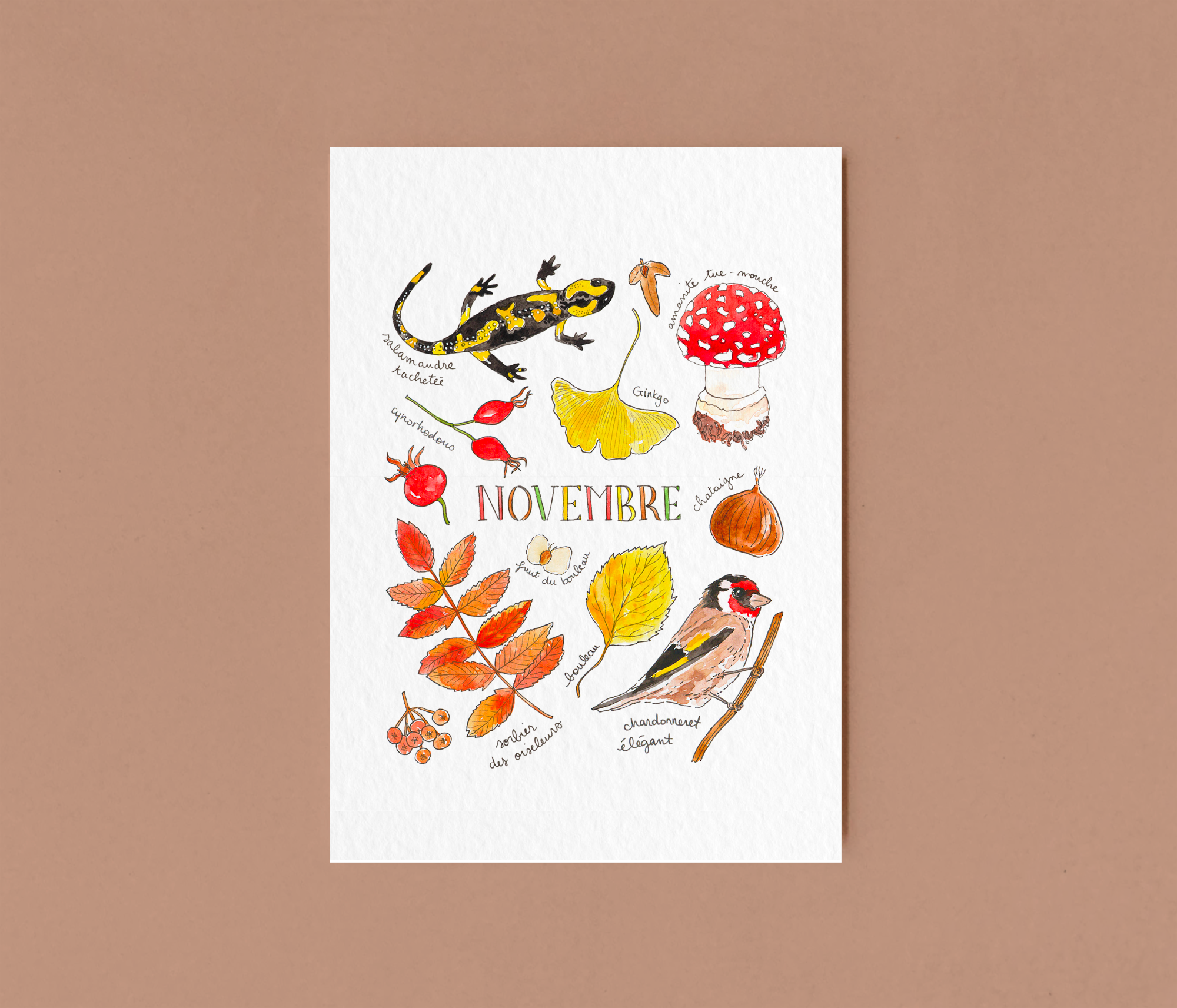 Novembre dans la nature - carte A6