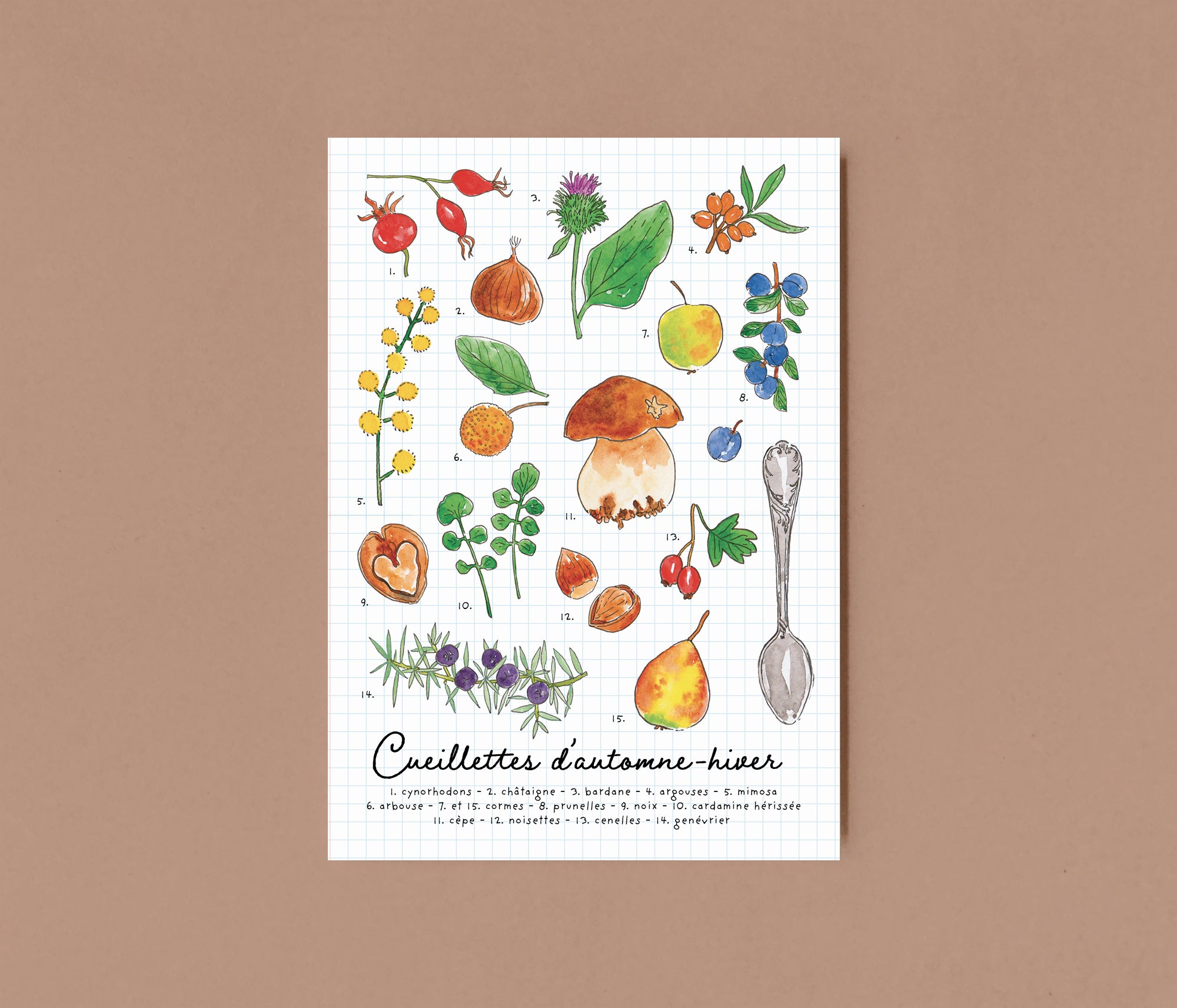 Cueillettes d'automne, hiver - Illustration A5