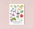 Cueillettes d'été - Illustration A5