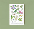 Cueillettes de printemps - Illustration A5