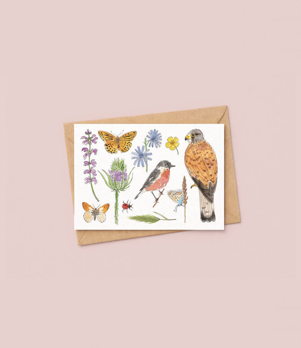 Faune & Flore des prairies - Carte A6