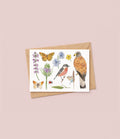 Faune & Flore des prairies - Carte A6