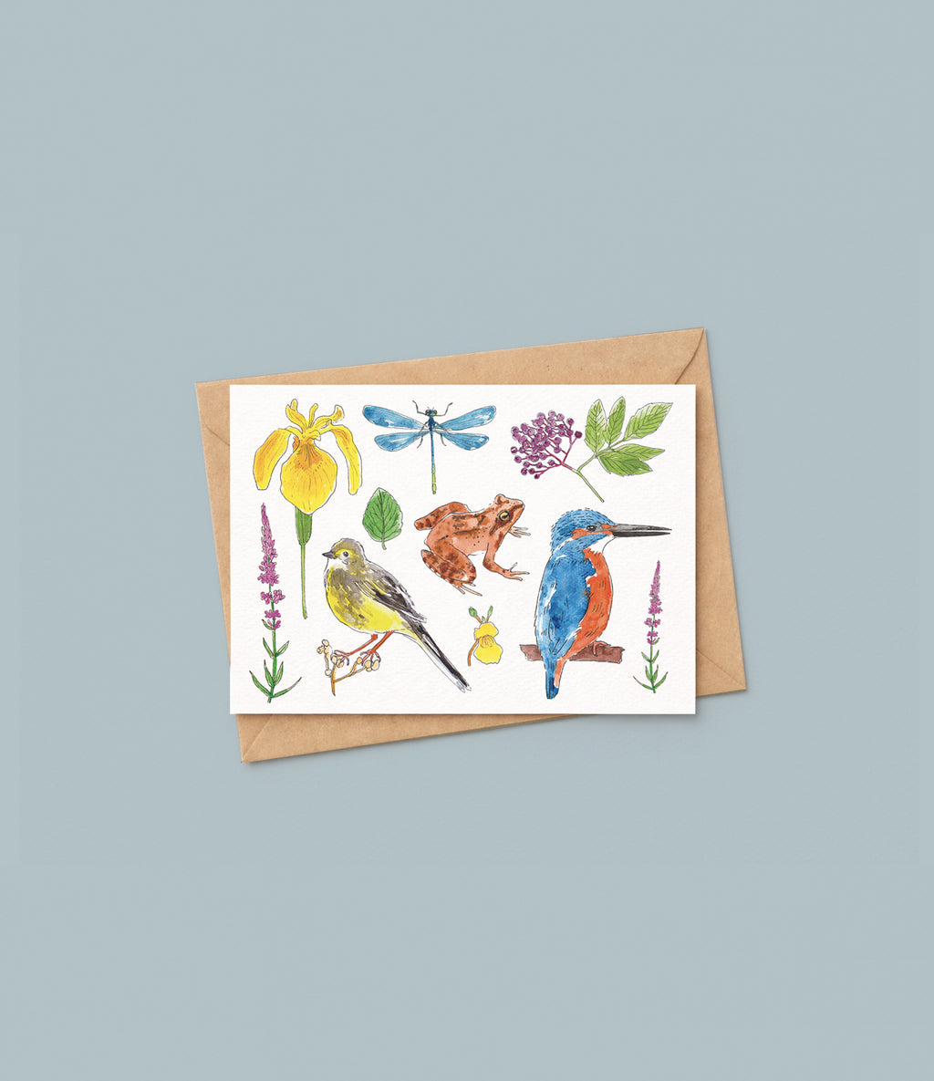 Trio de cartes "biodiversité"
