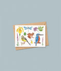 Faune & Flore des zones humides - Carte A6