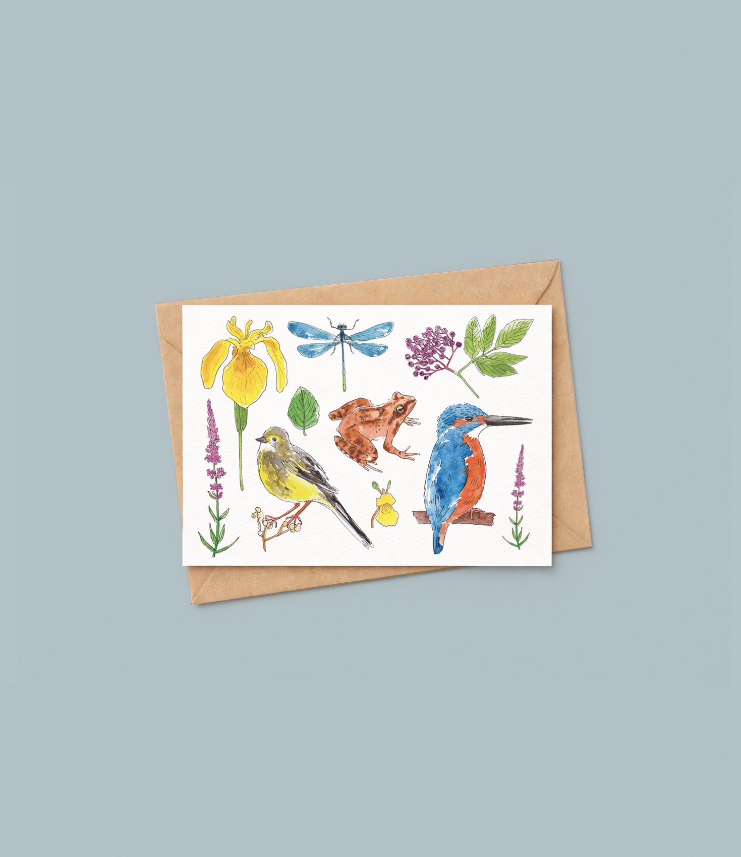 Trio de cartes "biodiversité"