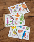 Trio de cartes "biodiversité"