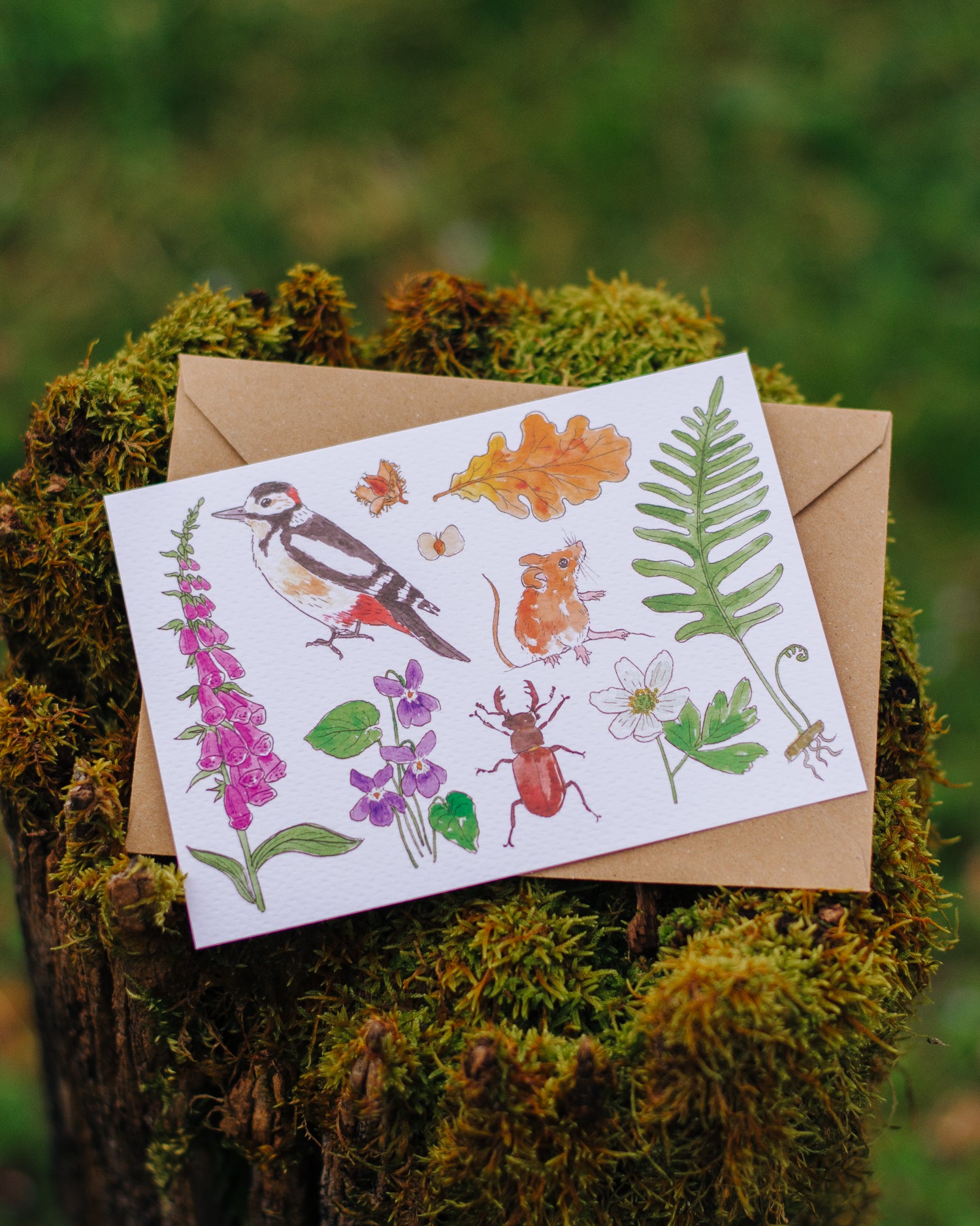 Faune & Flore des chemins - Carte A6