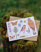 Faune & Flore des prairies - Carte A6