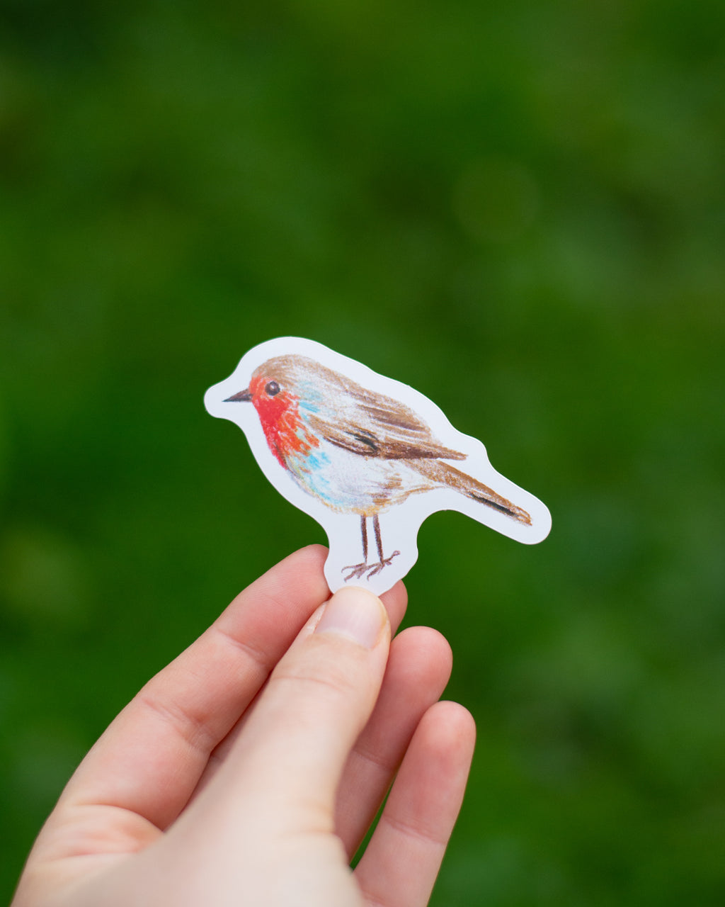 Sticker Rouge-gorge