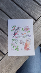 Une année dans la nature - 12 cartes A6